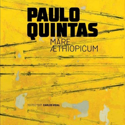 Capa amarela de livro com texto preto e manchas cinzentas