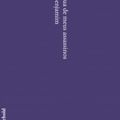 Capa roxa de livro com texto branco vertical e horizontal