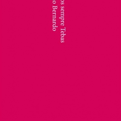 Capa de livro rosa com texto branco vertical