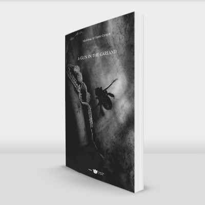 Livro com capa preta e imagem de mão e flor, texto ALMAS PERDIDAS