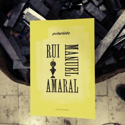 Capa de livro amarela com texto 'RUI MANUEL AMARAL' sobre blocos de metal