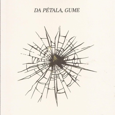 Capa de livro branca com título, autor e padrão de vidro partido