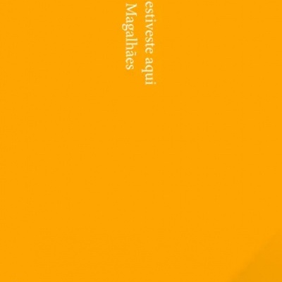 Capa de livro laranja com texto branco vertical