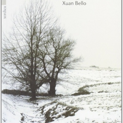 Capa de livro com título 'La nieve y otros complementos circunstanciales' e árvore sem folhas em paisagem nevada