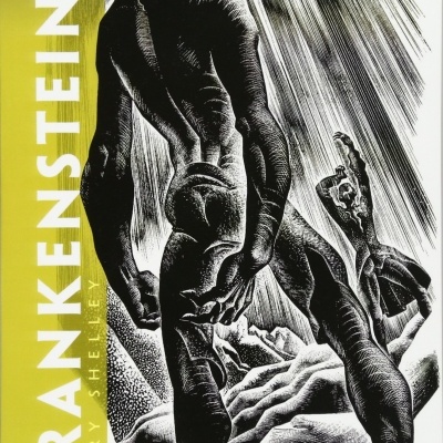 Capa de livro Frankenstein com ilustração em preto e branco de duas figuras humanas e faixa amarela à esquerda com texto.