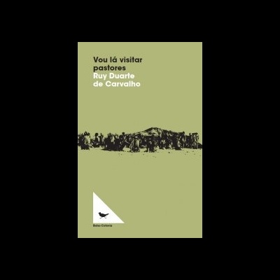 Capa de livro verde-oliva com título e imagem de pessoas ao longe