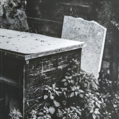 Mesa de madeira velha com plantas ao redor e painel encostado em parede escura