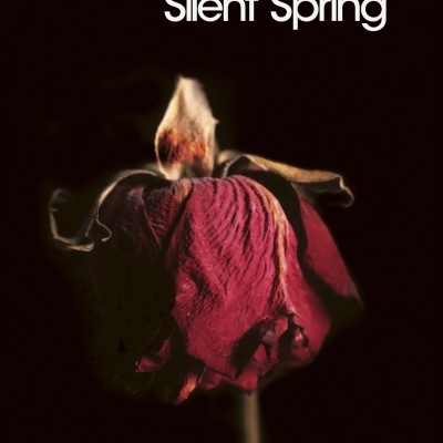 Capa do livro Silent Spring de Rachel Carson com flor vermelha murcha sobre fundo preto