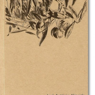 Capa de livro castanha com ilustração de plantas e texto em preto.