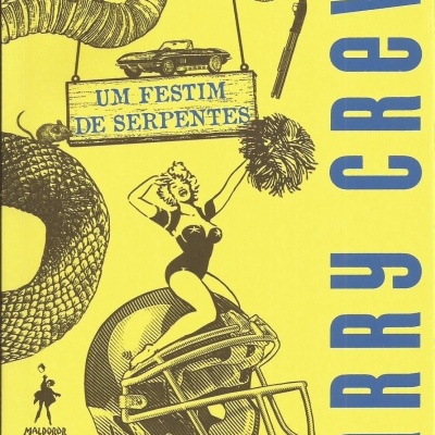 Capa de livro amarela com serpentear e figuras em preto e texto em azul