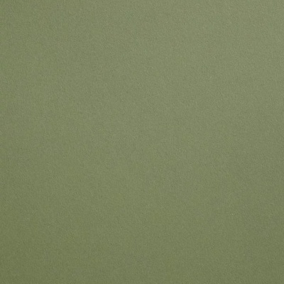 Capa de livro verde com texto DANIEL BLAUFUKS, HOJE, NADA, TODAY, NOTHING