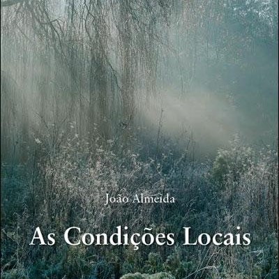 Capa de livro 'As Condições Locais' com paisagem natural nevoenta