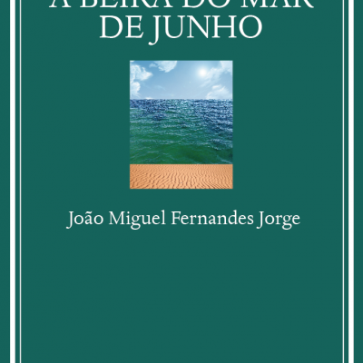 Capa de livro verde com texto branco e imagem de praia com mar e céu