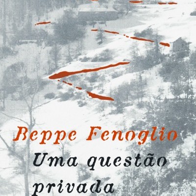 Capa de livro com paisagem rural cinza e texto em laranja e preto