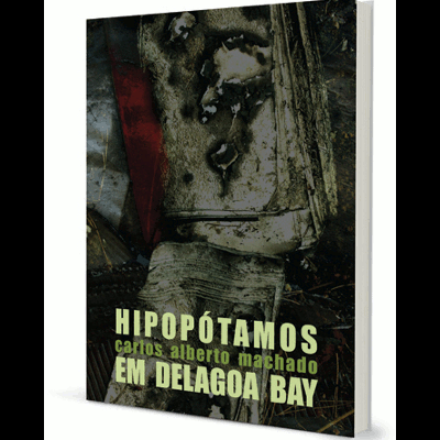 Capa de livro com imagem abstrata escura e texto em verde claro