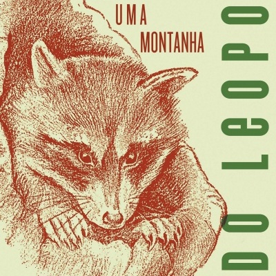 Capa de livro com ilustração castanha de um guaxinim e texto PENSAR COMO UMA MONTANHA e ALDO LEOPOLD