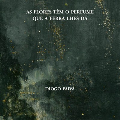Capa de livro escura com texto branco e detalhes dourados abstratos