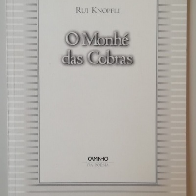 Capa de livro branco com riscas cinzentas e título em letras cinzentas 