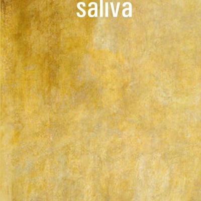Capa de livro SALIVA de Soraia Simões de Andrade com fundo amarelo texturizado
