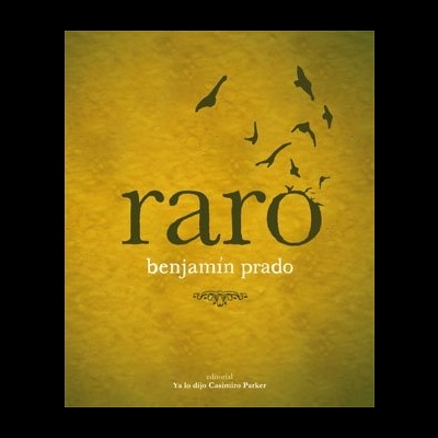 Capa de livro amarelo com título raro e autor Benjamin Prado