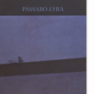 Capa de livro azul e preta com texto e silhueta de pássaro