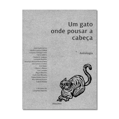 Capa de livro cinza com desenho de gato e texto em preto