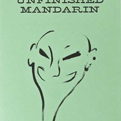 Capa de livro verde com texto e ilustração em preto.