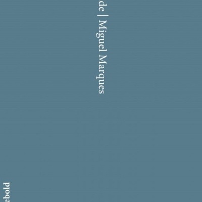 Fundo azul acinzentado com texto branco vertical Polaroide | Miguel Marques