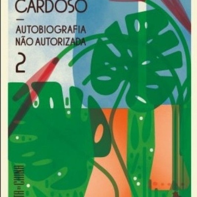 Capa de livro com folhas verdes e texto em preto