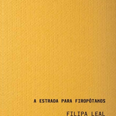 Capa de livro amarela com título e nome do autor em preto