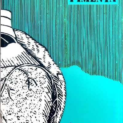 Capa de livro azul com texto e ilustração de rosto com chapéu