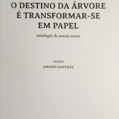 Contracapa de livro com título e informações de tradução em texto preto sobre fundo branco