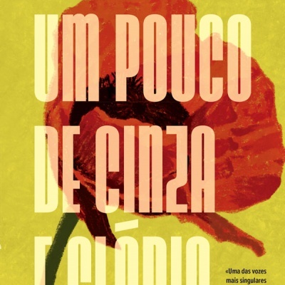 Capa de livro com flor vermelha e texto grande creme