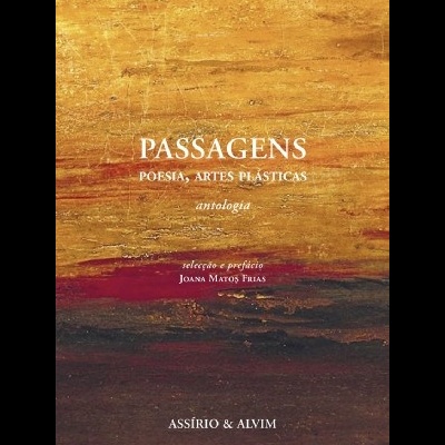 Capa de livro com fundo texturizado em tons amarelo, vermelho e castanho e texto branco e preto.