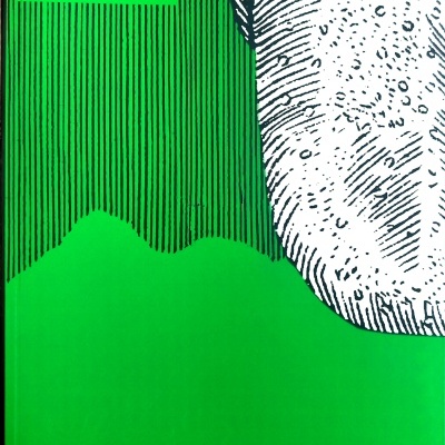 Capa verde de livro com texto ALBERTO PIMENTA e ilustração em preto e branco