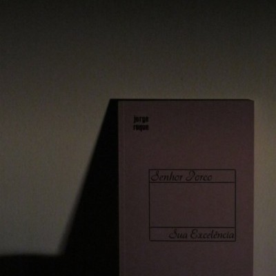 Livro rosa intitulado Senhor Porco Sua Excelência contra uma parede