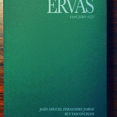 Capa de livro verde escura com texto branco 