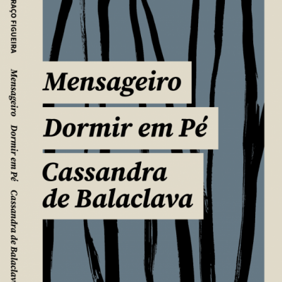Capa de livro azul com listras pretas e texto em faixas claras