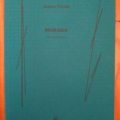 Livro de capa verde com texto e ilustrações lineares pretas