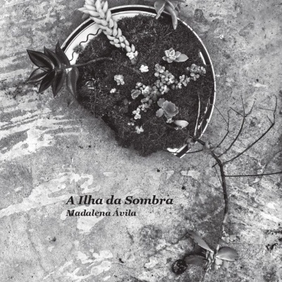 Capa de livro com título 'A Ilha da Sombra' e plantas num prato sobre superfície de pedra.