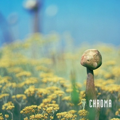 Flores amarelas com flores altas marrons em fundo desfocado azul com texto VINTAGE JARMAN e CHROMA