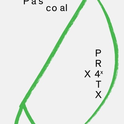 Desenho verde de forma semelhante a uma folha com texto 'Paulo Pascoal' e 'PRX 4x TX'.