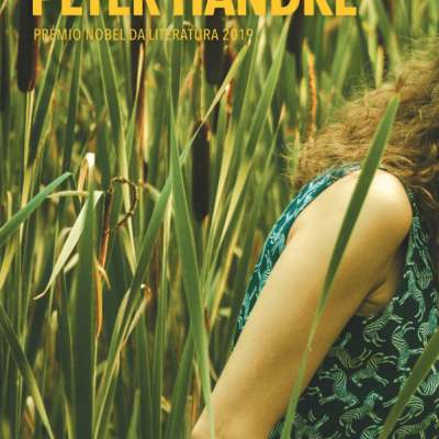 Capa do livro A LADRA DE FRUTA de PETER HANDKE com fundo de vegetação alta e pessoa com vestido azul.