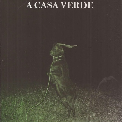 Capa de livro 'A CASA VERDE' de Pedro Magalhães com cão preto em pé na relva à noite