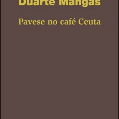 Capa de livro castanha com texto amarelo e logótipo da editora Teodolito