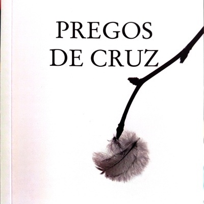 Capa de livro branca com título 