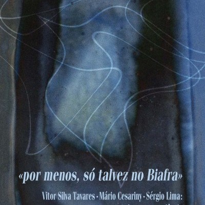 Capa de livro azul escuro com manchas e linhas brancas e texto em branco.