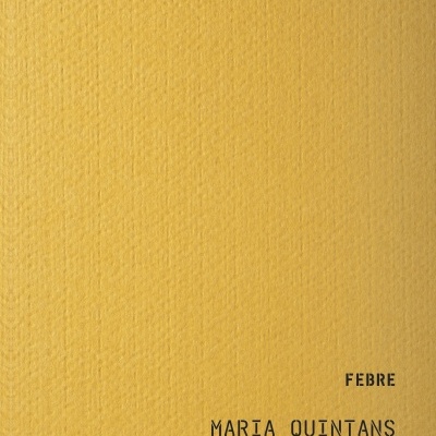 Capa amarela texturada de livro com texto preto