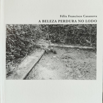 Capa de livro branco com título e fotografia a preto e branco de terreno com vegetação
