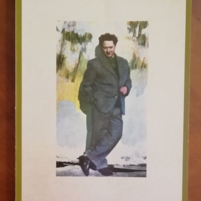 Capa de livro com imagem central de homem de fato cinzento e moldura verde